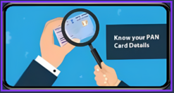 MASKED PAN NUMBER FIND